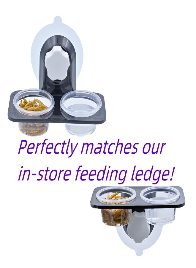 MRTIOO 100pcs 1oz Crested Gecko Food and Water Feeding Cups, Reptile Feeder Bowls, for Lizard and Other Small Pet Ledge Accessories Supplies - Image 5